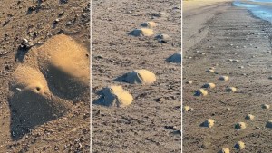 Camarones fantasma generan “mini volcanes” en las playas de Texas