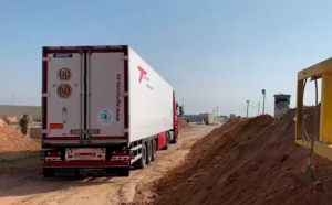 Primer lote de camiones con ayuda humanitaria para civiles de Gaza atravesó paso de Kerem Shalom abierto por Israel