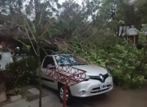 Carros destrozados, árboles caídos y cortes de luz: los impactantes videos de cómo afectó el temporal en Argentina