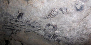 Descubrieron en Cuba esqueleto de un saurio marino con más de 130 millones de años