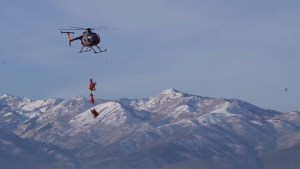 ¿Renos voladores de Santa?, ciervos son transportados por aire en Utah por este motivo (VIDEO)