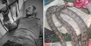 Filipino cuatriboliao’ luchó a muerte contra una pitón de tres metros y acabó con ella… a punta de mordiscos