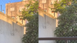 Notó algo extraño desde el balcón de su apartamento, salió a investigar y quedó sorprendido (VIDEO)