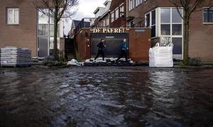 Árboles caídos y problemas de tráfico tras el paso de la tormenta Isha por Países Bajos