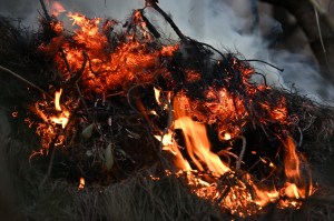 EN FOTOS: Así se ve más de la mitad de Colombia tras los incendios forestales