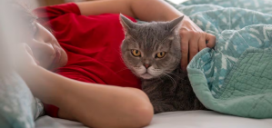 Estos son los riesgos poco conocidos de dormir con perros o gatos