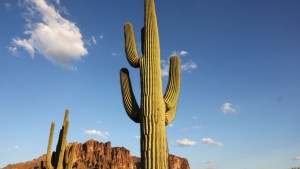 VIDEO: El motivo por el que una cámara pasará mil años tomando imágenes en el desierto de Arizona
