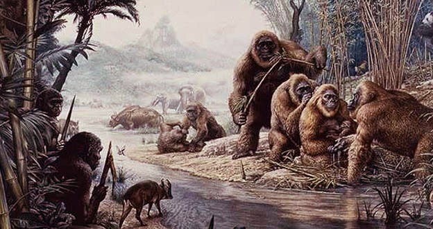 Lograron explicar por qué se extinguió el mayor simio que habitó sobre la Tierra
