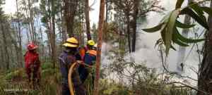 Up to 184 hectares consumed by vegetation fires in Táchira in western Venezuela
