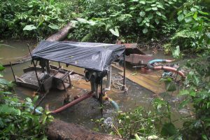 Alarma ante crisis de malaria en el Alto Orinoco: una epidemia que requiere atención inmediata
