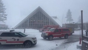 Tragedia en California: avalancha en estación de esquí deja un muerto y un herido (VIDEOS)