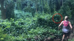 Una mujer corrió una maratón en una selva, le sacaron una FOTO y captaron un “fantasma hawaiano”