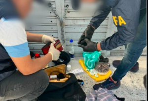 Revelan escondite del terrorista con pasaporte venezolano que pretendía realizar ataque en Argentina
