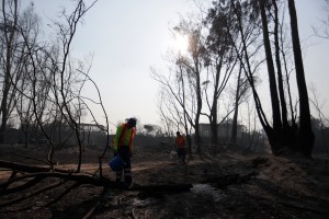 Fallecidos en incendios en Chile superan los 130, pero solo 35 fueron identificados