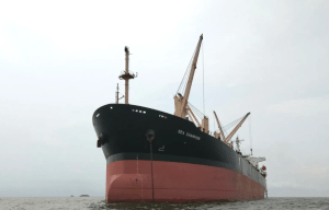 Hutíes atacaron un barco estadounidense que llevaba grano a Yemen