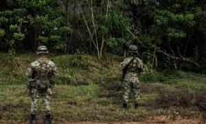 Colombia destruye narco-campamento del Clan del Golfo: producía hasta una tonelada de cocaína al mes