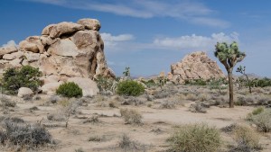 Misterio en California: hallan esqueletos humanos en un popular parque nacional