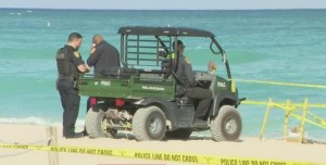 Misterio en Miami Beach: aparecen restos de un feto humano en una playa