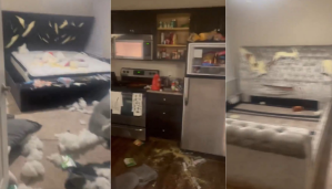 Mujer furiosa destruye el apartamento de su novio porque no le regaló nada en el Día de San Valentín (VIDEO)