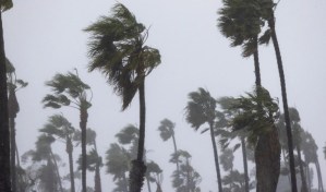 Las tormentas dejan al menos tres muertos y miles de casas sin electricidad en California