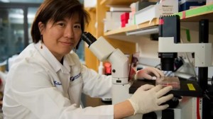 Quién es Catherine Wu, el cerebro detrás de las vacunas que podrían curar el cáncer