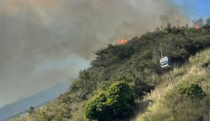 Sindicato de Inparques tras incendio en El Ávila: Hay que tomar previsiones, se espera una de las temporadas más calientes