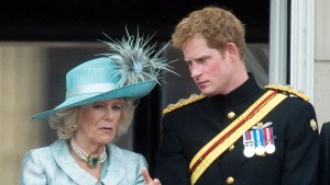 El desplante que el príncipe Harry tuvo con la Reina Camilla en su visita a Carlos III