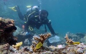 El motivo por el que ningún buzo puede llegar a los restos de Titanic