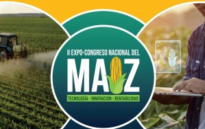 Con nuevas alternativas para el productor venezolano se presentará la II Expo congreso del Maíz