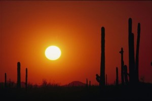 El segundo lugar más caluroso del mundo está en la frontera de EEUU: temperaturas alcanzan los 80 °C