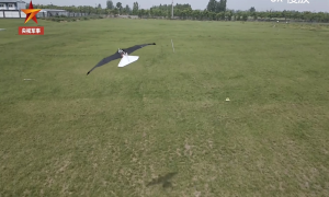 Expertos aeronáuticos diseñaron un dron que imita perfectamente el vuelo de las aves (Video)