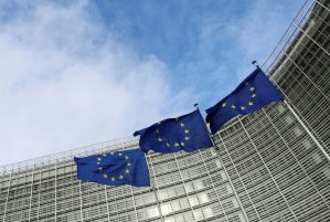 UE analizará solicitud formal del CNE sobre el envío de una misión de observación electoral