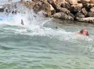 VIDEO impactante: una surfista fue atacada por un tiburón y todo quedó grabado