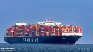 Impactante VIDEO: barco chino derribó tres grúas gigantes al atracar en puerto de Turquía