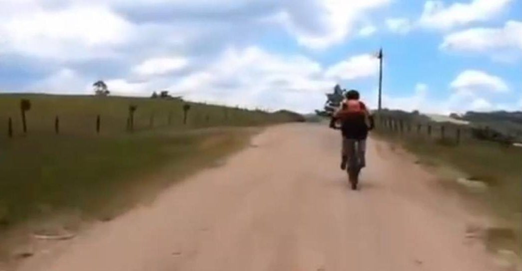VIDEO: El animal que quiso embestir a un ciclista y todo terminó de la peor manera