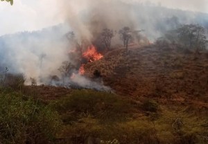 Incendio de vegetación en Falcón se extiende por quinto día