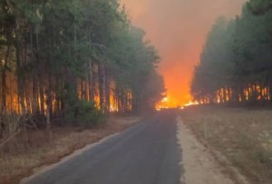 Se han registrado más de tres mil focos de incendio en Venezuela las últimas 48 horas