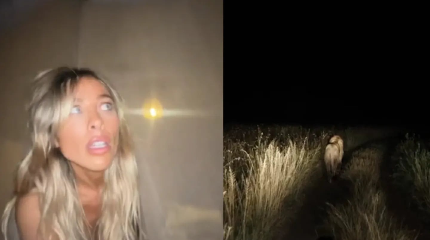 La aterradora experiencia de una mujer que se fue de vacaciones a la sabana africana (VIDEO)