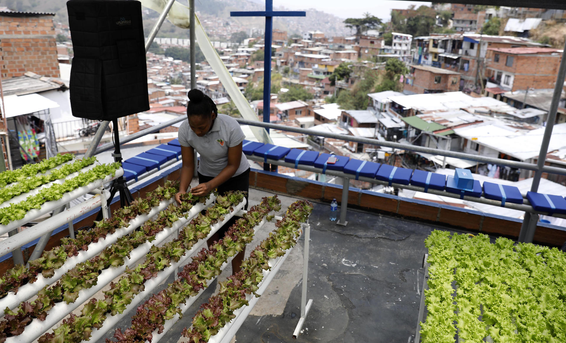 Transformación esperanzadora en Medellín después de estar marcada por la violencia