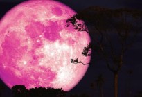 Luna rosa en EEUU: descubre las mejores ciudades para ver el fenómeno astronómico