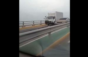 Jumanji en Maracaibo: avestruz causó caos vehicular en el puente sobre el Lago (Video)