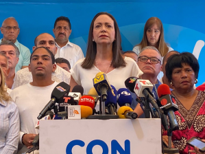 Vente Venezuela celebró la candidatura unitaria de Edmundo González