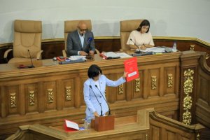 Delcy Rodríguez ordenó crear “especies penales muy especiales” tras presentar la ley “contra el fascismo”