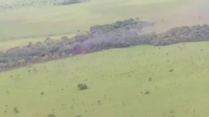 Militares inutilizaron presunta narcoavioneta oculta en zona boscosa de Apure (Fotos)