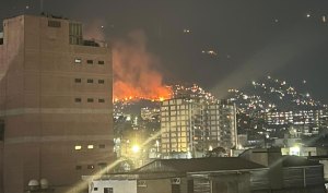 ¿Cuáles son las causas de los incendios forestales en Venezuela?