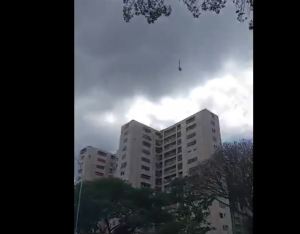 Rescataron a una garza que colgaba de un cable en autopista de Caracas (Videos)