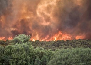 Un gran incendio en el norte de Grecia quema por tercer día consecutivo un bosque virgen