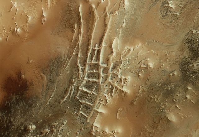 Espeluznantes “arañas” encontradas en la superficie de Marte