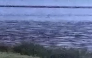 “No era normal”: Fan del monstruo del Lago Ness lo fue a buscar y descubrió algo que lo dejó en shock (VIDEO)