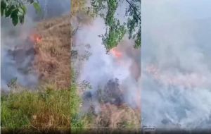 EN IMÁGENES: reportan incendio forestal en El Ávila, sector Los Anaucos este #4May